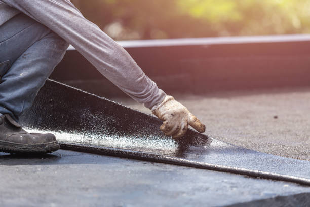 Professional Interior Drainage System technician working in Knoxville, MD